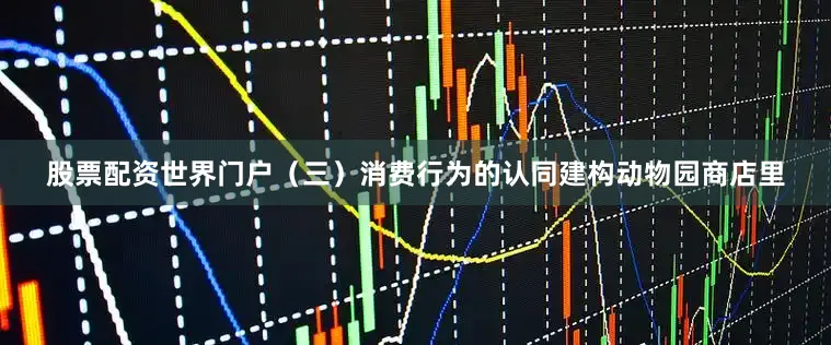 股票配资世界门户（三）消费行为的认同建构动物园商店里